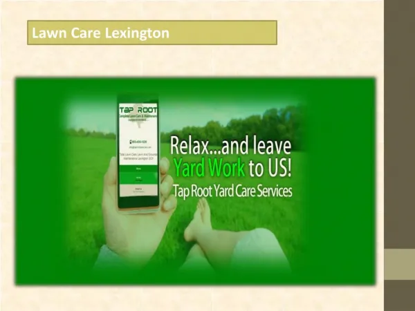 Lawn Care Lexington