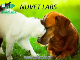 Nuvet Labs - Nuvet Labs Reviews - slide 1