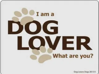 dog lovers - slide 1