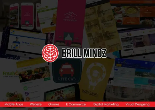 Brill Mindz Technologies Profile