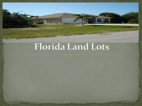 Florida land lots