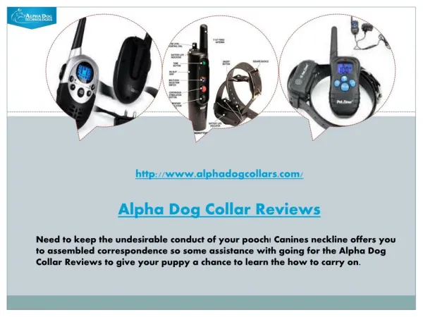 Alpha Dog Collar Reviews