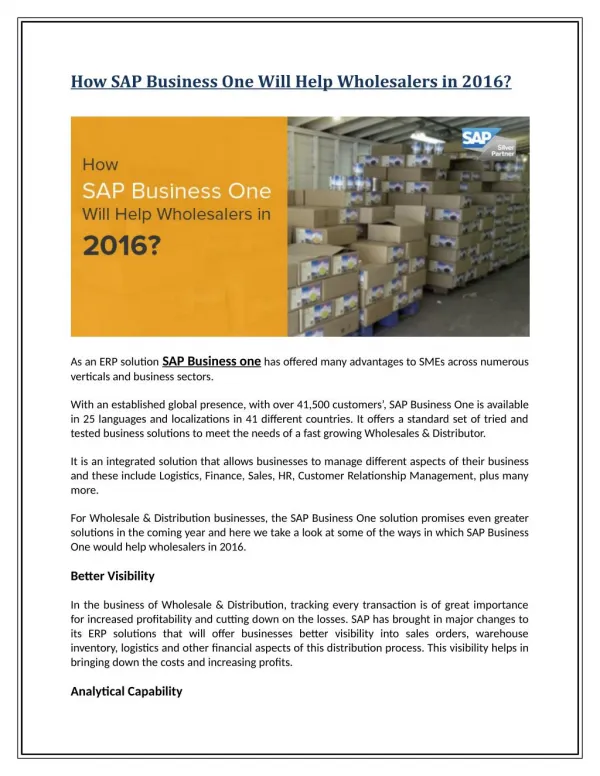 How SAP Business One Will Help Wholesalers in 2016?