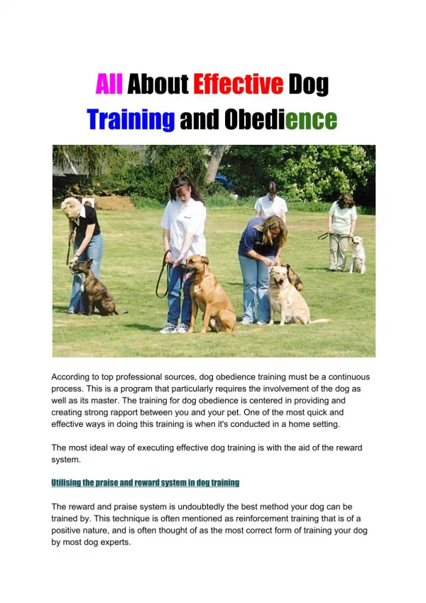 All About Effective Dog Training and Obedience