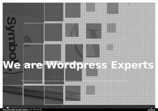 Wordpress Website Designer & Developer Expert