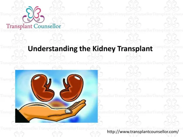 Kidney Transplantation India