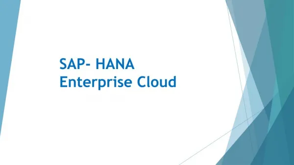 Ravi Namboori - SAP- HANA Enterprise Cloud