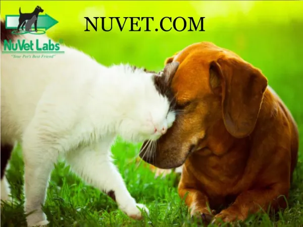 Nuvet Labs Reviews - Nuvet Plus