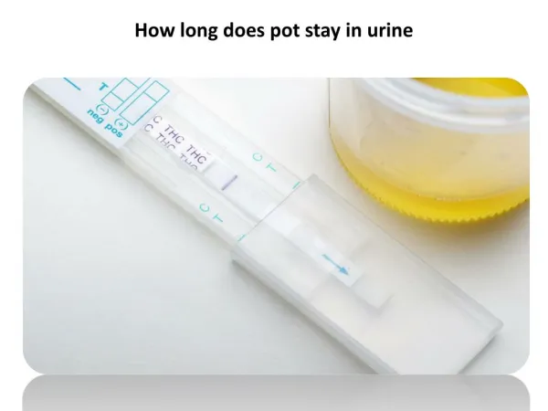how long does pot stay in urine