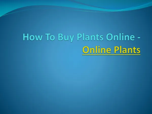 How To Buy Plants Online - Online Plants