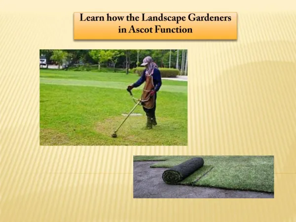 Learn how the Landscape Gardeners in Ascot Function