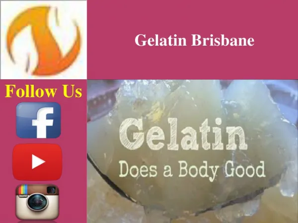 Collagen Hydrolysate Beef Gelatin