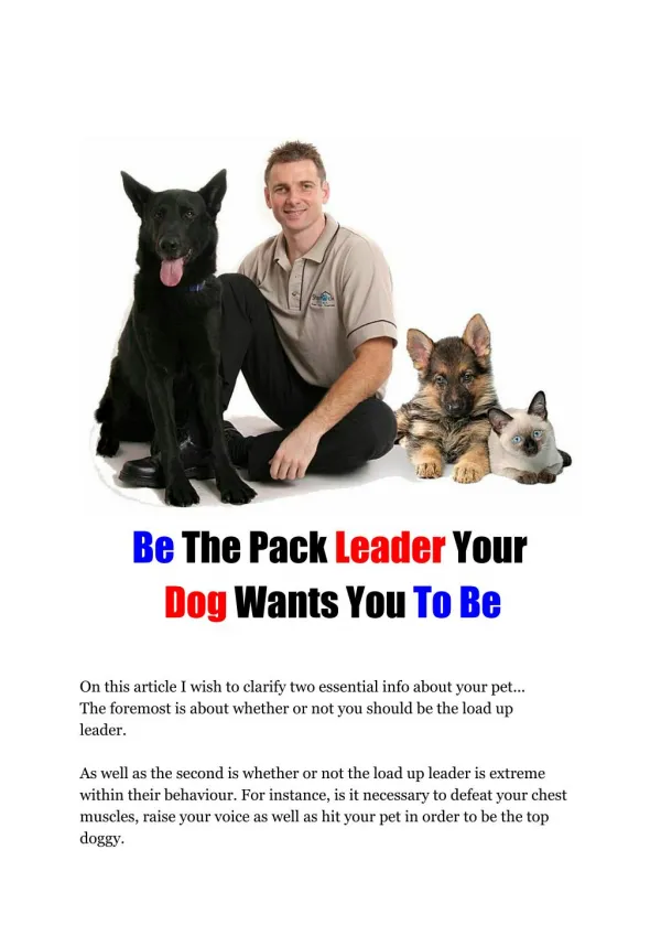 Be the Pack Leader Your Dog Wants You To Be