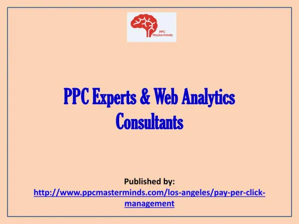 PPC Experts & Web Analytics Consultants