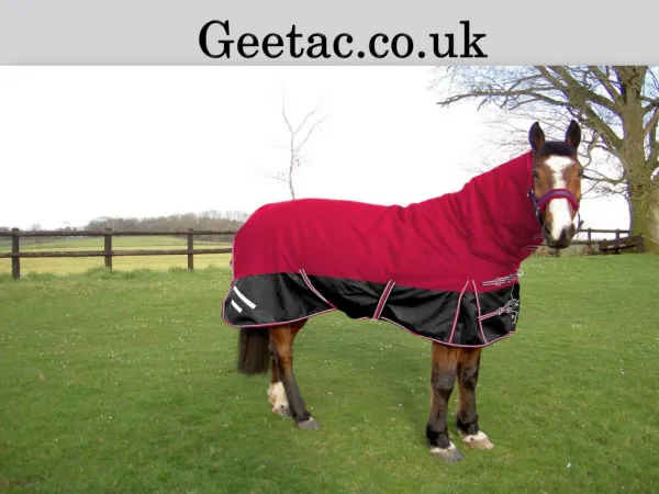 Cheap Turnout Horse Rugs Exercise Sheets