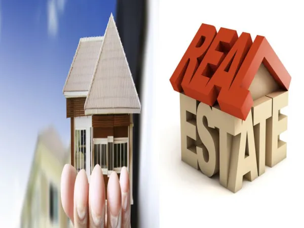 Want To Become a Successful Real Estate Consultant| Steven Catalfamo