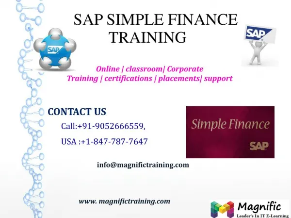 SAP SIMPLE FINANCE ONLINE TRAINING IN USA|UK|CANADA