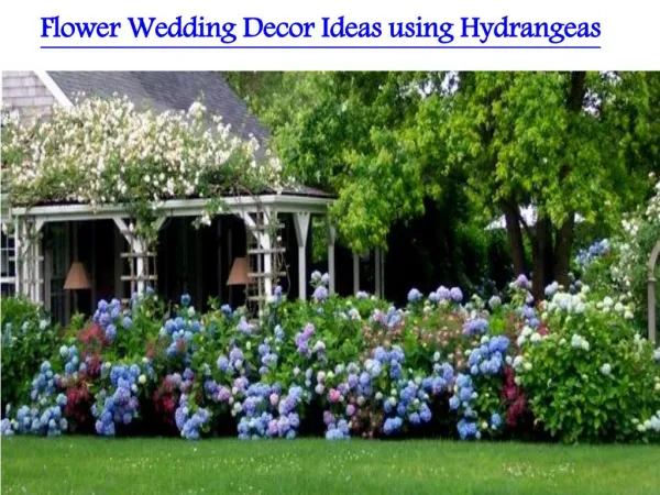 Flower Wedding Decor Ideas using Hydrangeas