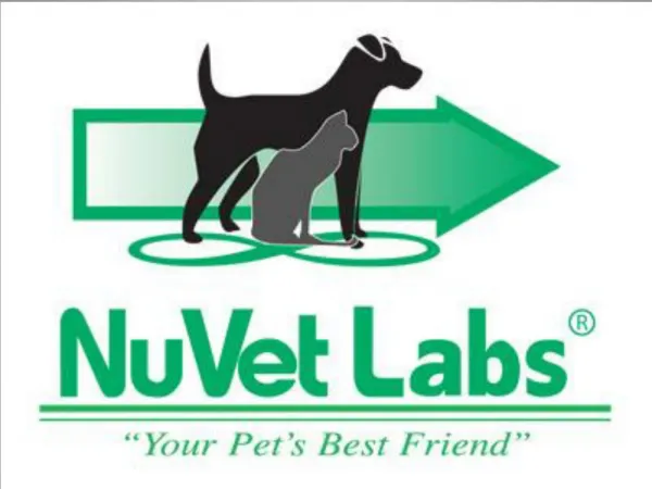 Nuvet Labs Reviews - Nuvet Plus Reviews