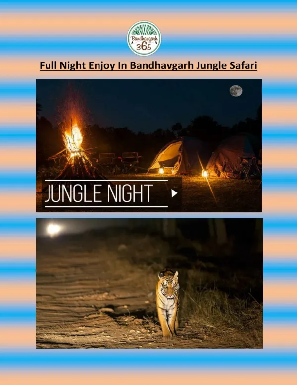 Full Night Enjoy In Bandhavgarh Jungle Safari