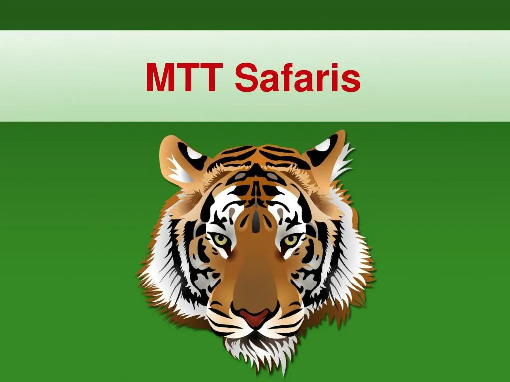 mtt safaris
