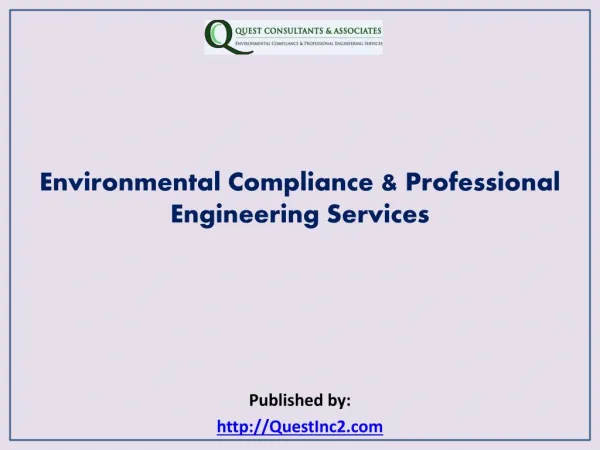 Professional Engineering Services