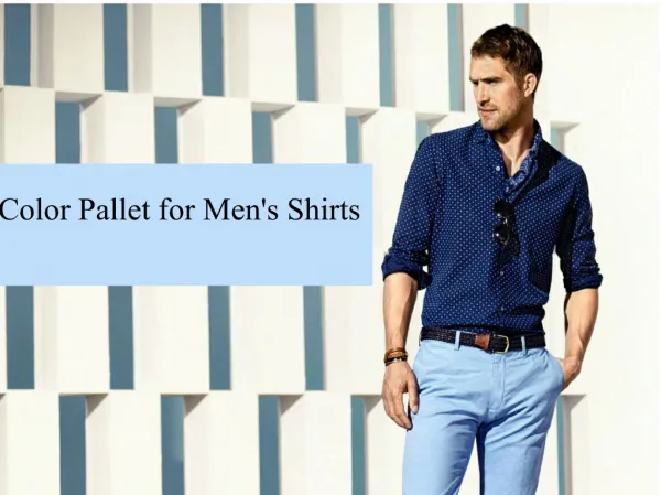 Color Pallet for Men's Shirts