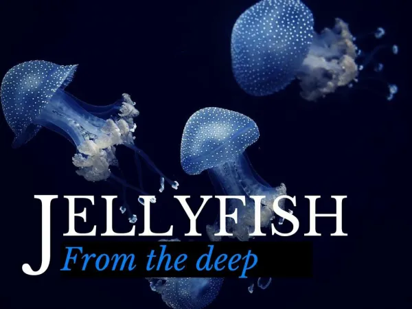 jellyfish from the deep