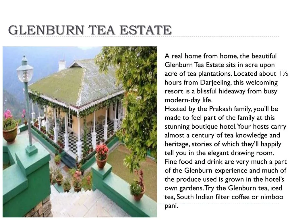 glenburn tea estate