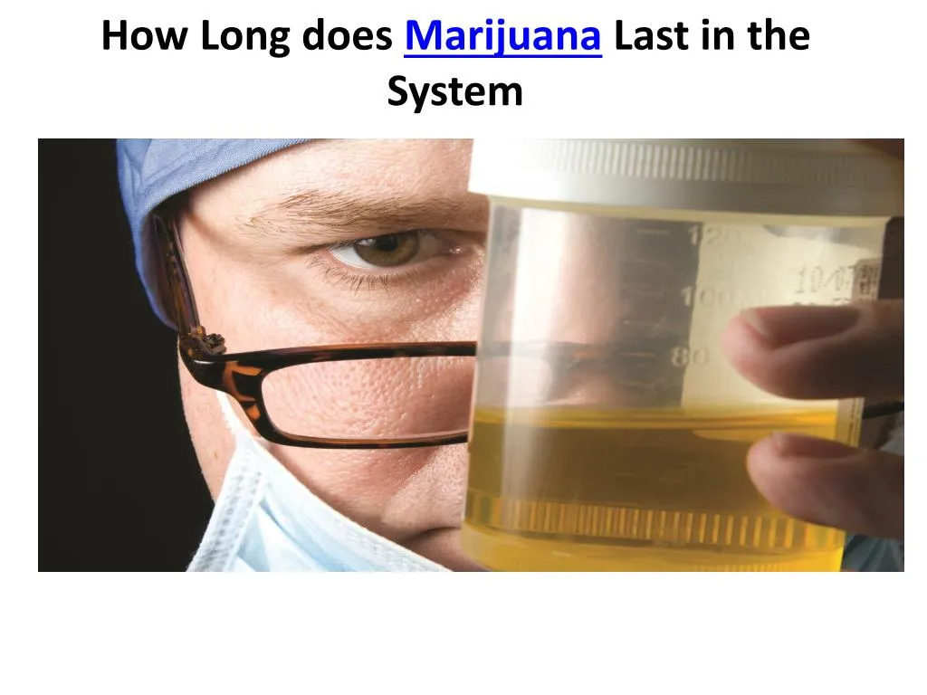 how long does marijuana last in the system