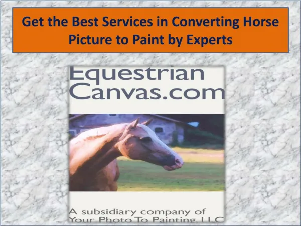 Get the Best Services in Converting Horse Picture to Paint by Experts