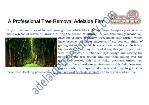 Tree removal service Adelaide  