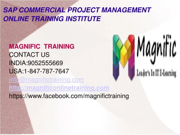 Sap commercial project management online training in usa
