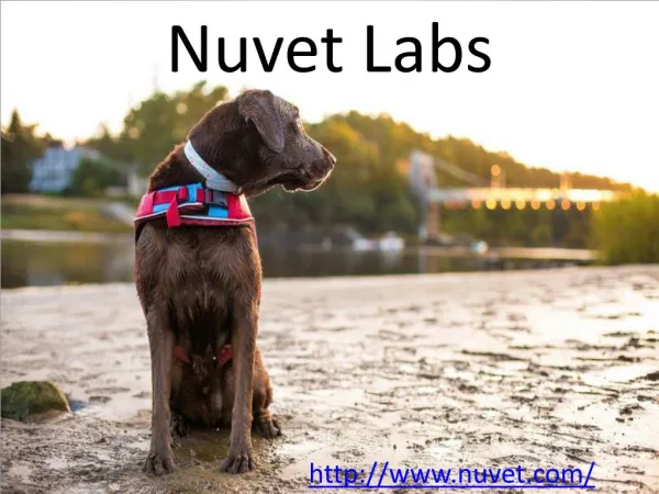 Nuvet Reviews - Nuvet labs Reviews - Nuvet
