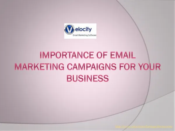 Importance Of Email Marketing Campaigns For Your Business