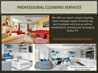 Professional Cleaning Services - slide 1