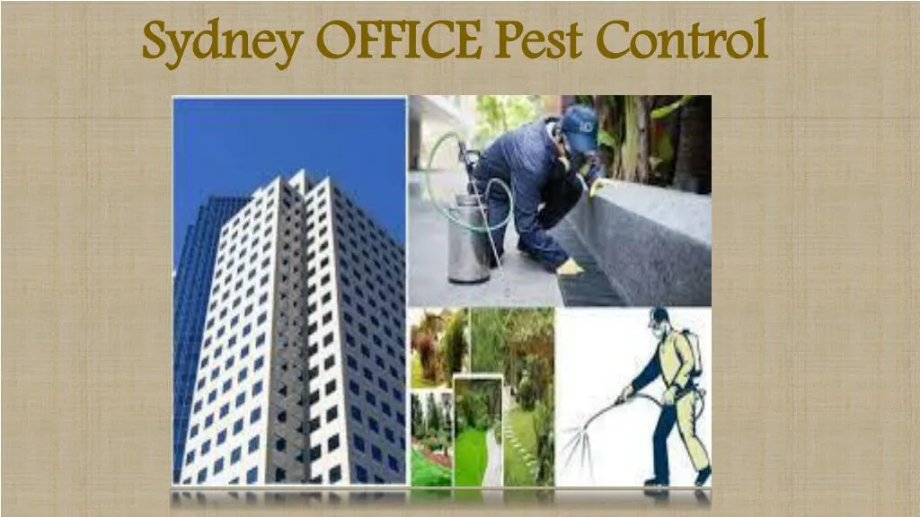 sydney office pest control