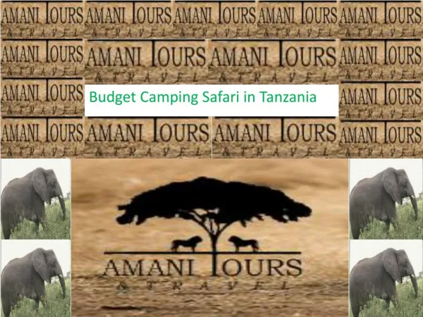 Budget Camping Safari in Tanzania