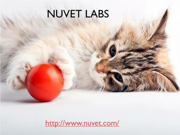 Nuvet Labs - Nuvet Plus Reviews - Nuvet