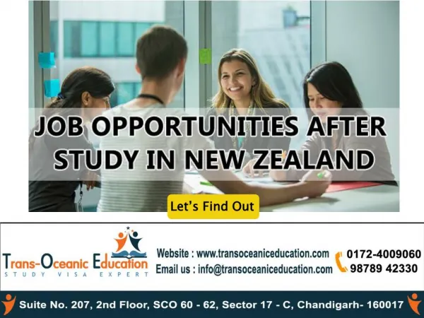 job opportunities after studying in new zealand