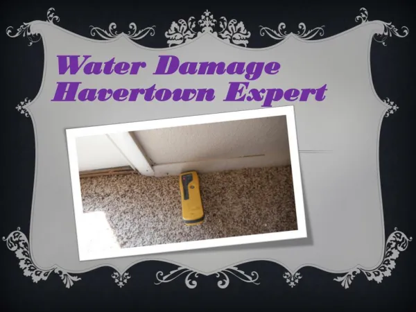 Water Damage Havertown Expert