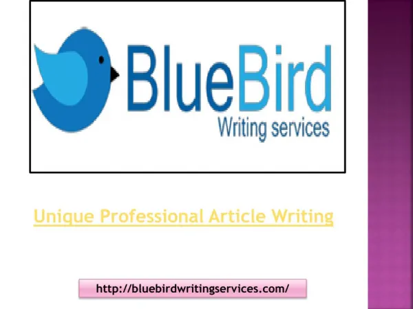 Professional Article Writing Services