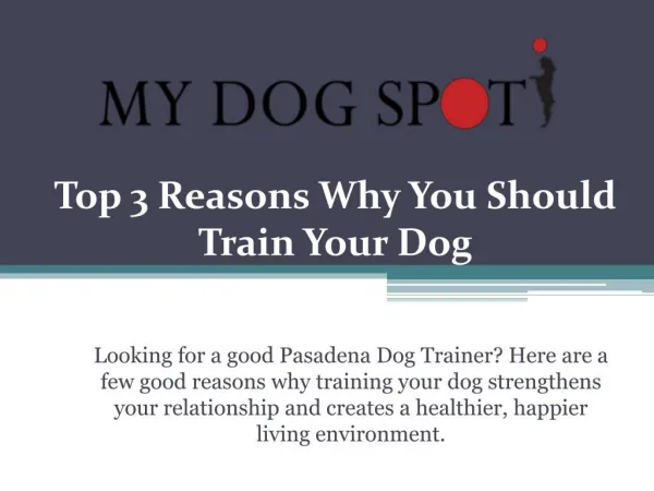 Top 3 Reasons Why You Should Train Your Dog