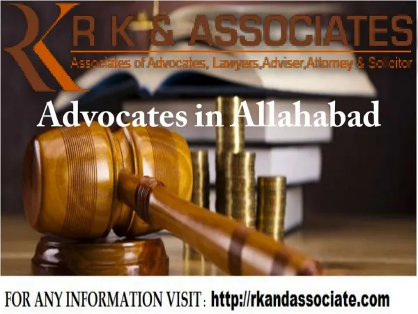advocates in allahabad high court