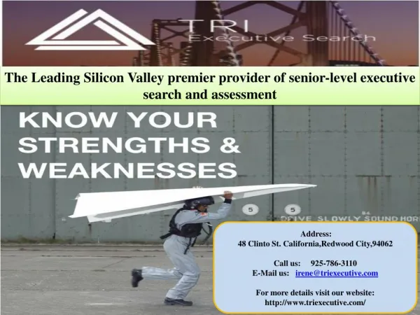 The Leading Silicon Valley premier provider of senior-level executive search and assessment