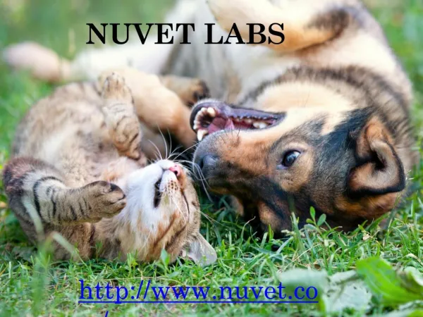 Nuvet - Nuvet Labs Reviews - Nuvet Plus Reviews