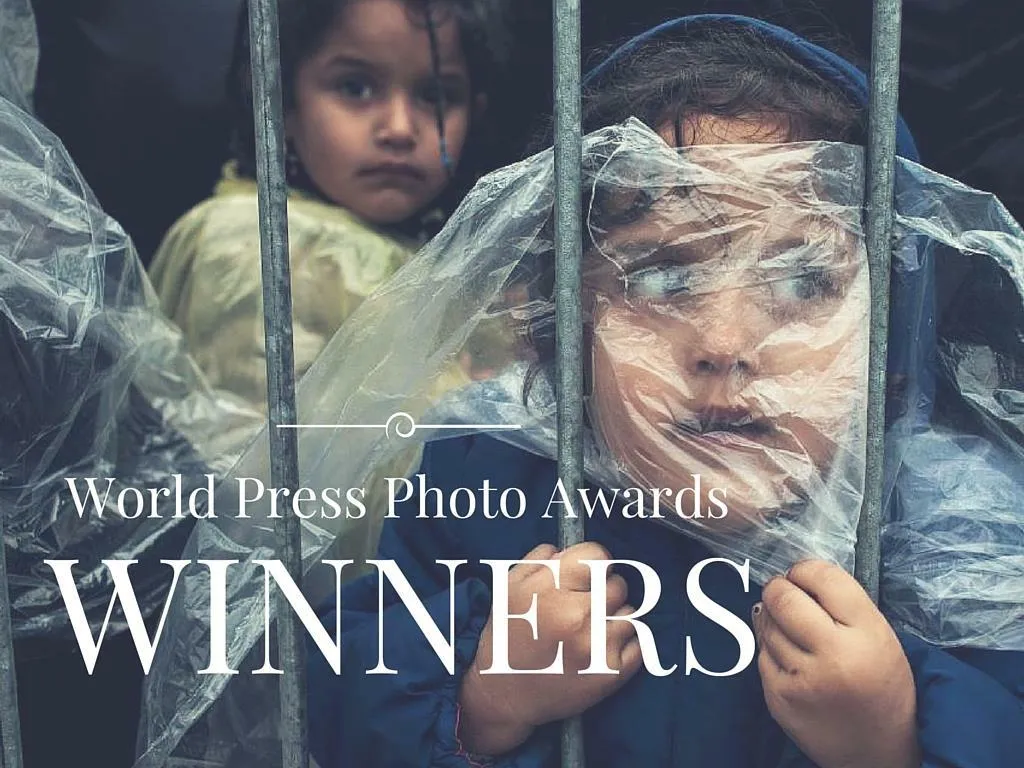 world press photo awards winners