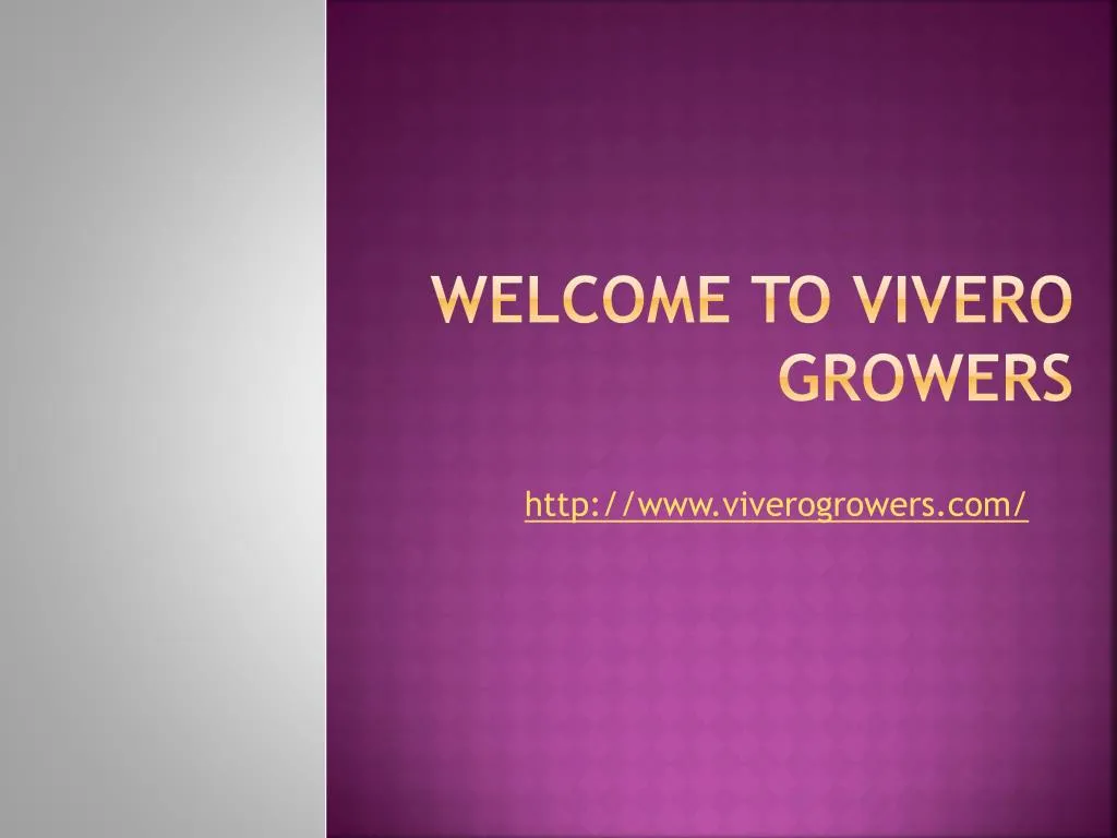 welcome to vivero growers