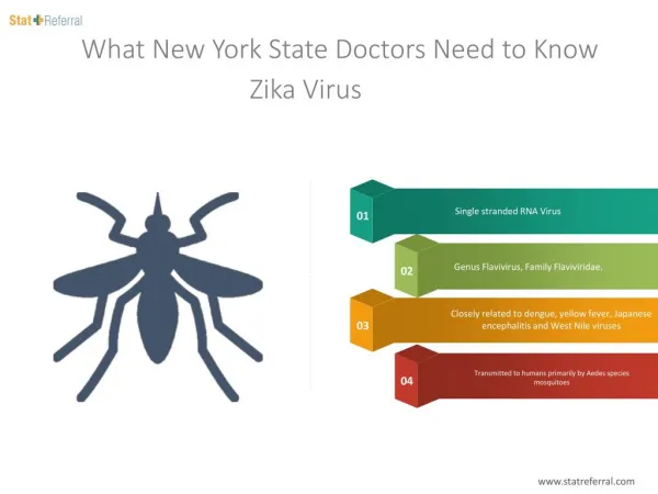 What New York State Doctors Need to Know Zika Virus