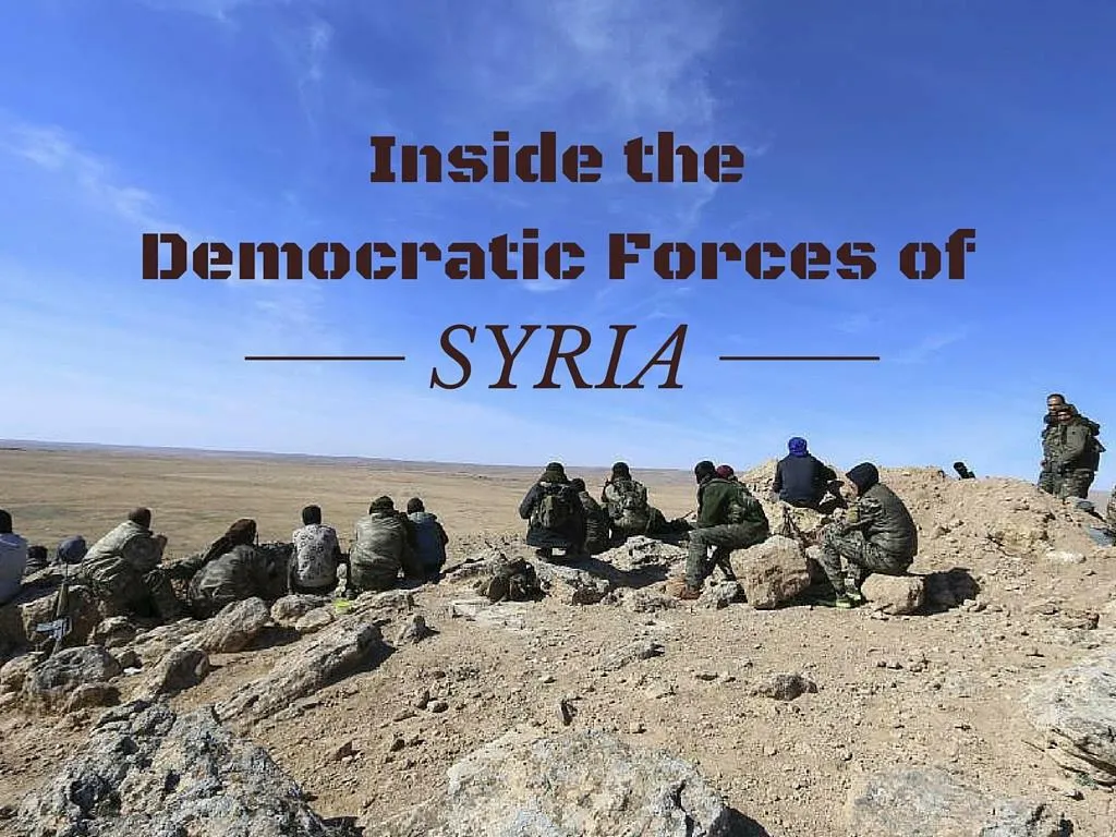 inside the democratic forces of syria